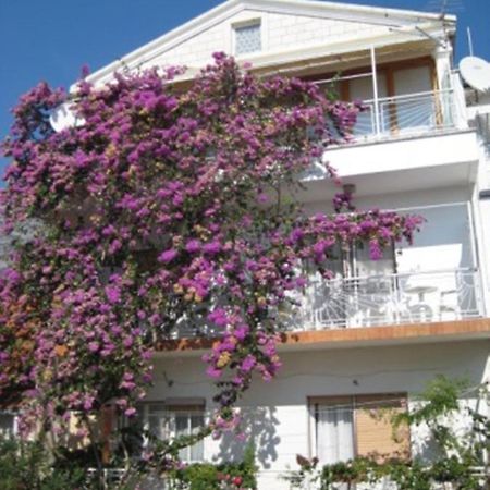 Apartman Graciela Perfect location Gradac Gradac  Exterior foto
