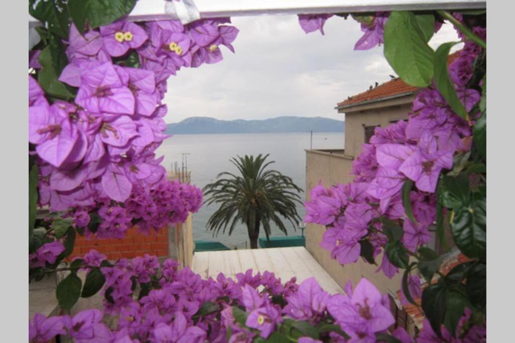 Apartman Graciela Perfect location Gradac Gradac  Exterior foto