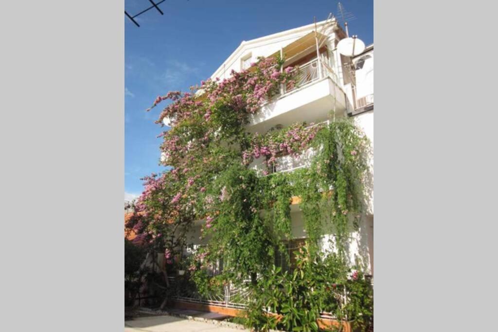 Apartman Graciela Perfect location Gradac Gradac  Exterior foto