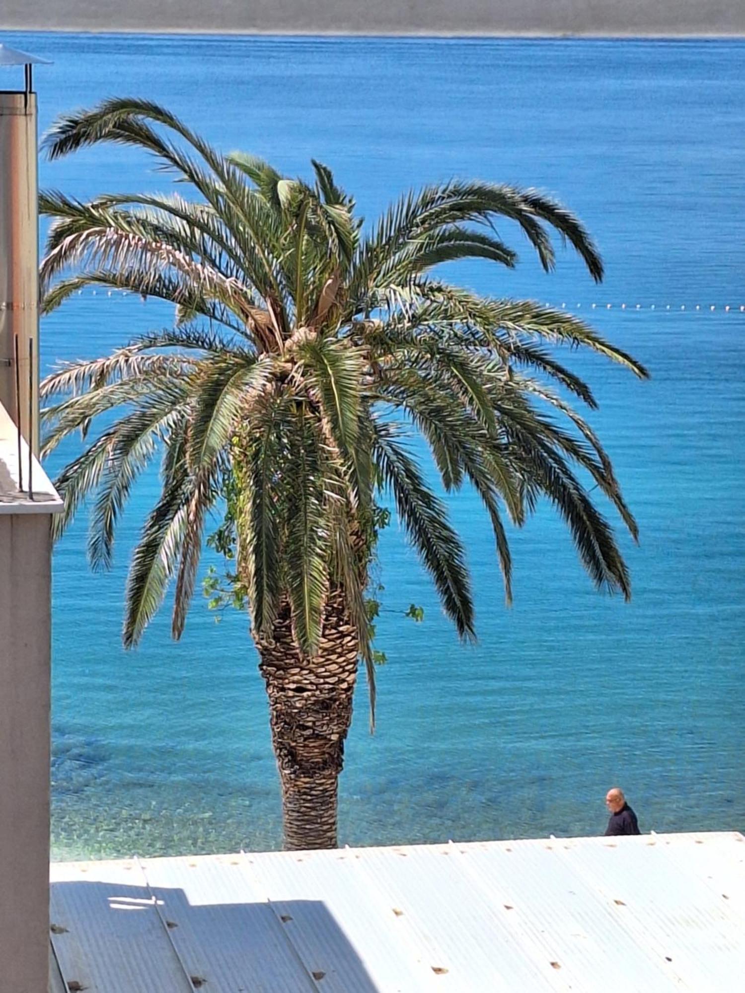 Apartman Graciela Perfect location Gradac Gradac  Exterior foto